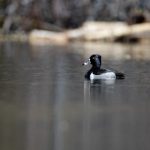 电影网午夜 mizl9qbij